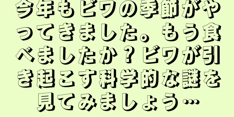 今年もビワの季節がやってきました。もう食べましたか？ビワが引き起こす科学的な謎を見てみましょう…