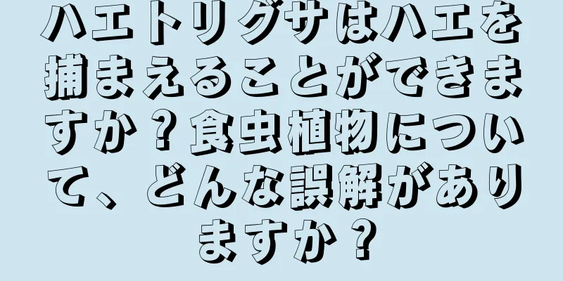 ハエトリグサはハエを捕まえることができますか？食虫植物について、どんな誤解がありますか？