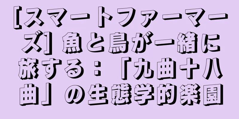 [スマートファーマーズ] 魚と鳥が一緒に旅する：「九曲十八曲」の生態学的楽園