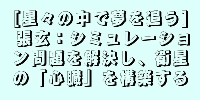 [星々の中で夢を追う] 張玄：シミュレーション問題を解決し、衛星の「心臓」を構築する