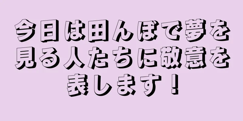 今日は田んぼで夢を見る人たちに敬意を表します！