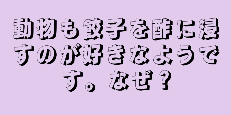 動物も餃子を酢に浸すのが好きなようです。なぜ？