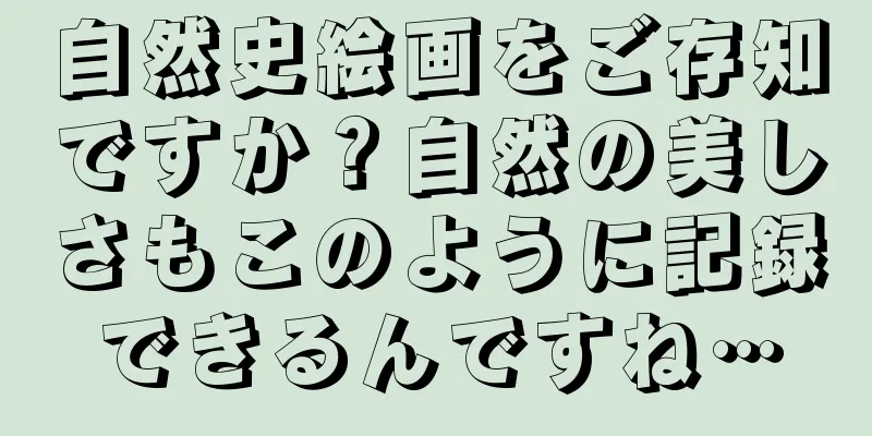 自然史絵画をご存知ですか？自然の美しさもこのように記録できるんですね…