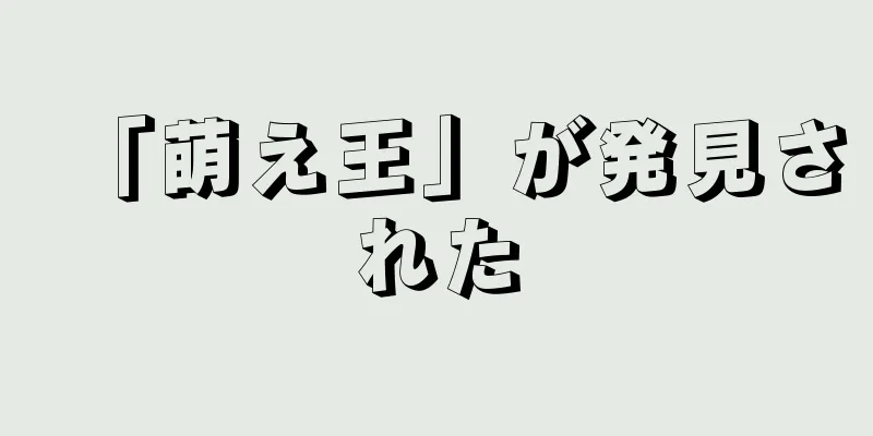 「萌え王」が発見された