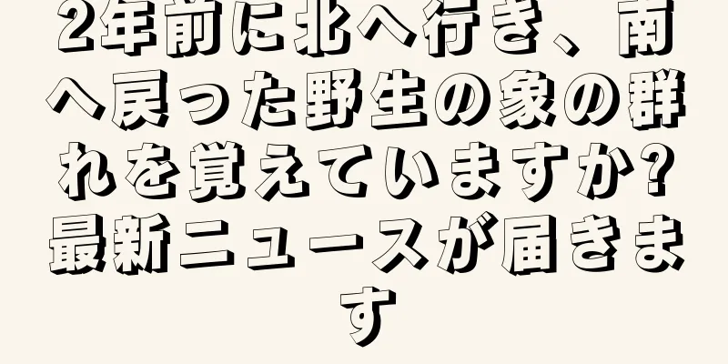2年前に北へ行き、南へ戻った野生の象の群れを覚えていますか?最新ニュースが届きます