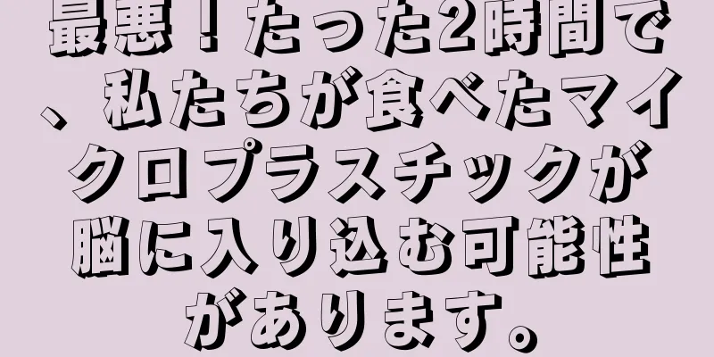 最悪！たった2時間で、私たちが食べたマイクロプラスチックが脳に入り込む可能性があります。