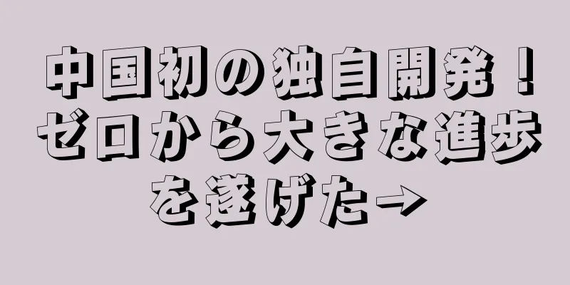 中国初の独自開発！ゼロから大きな進歩を遂げた→