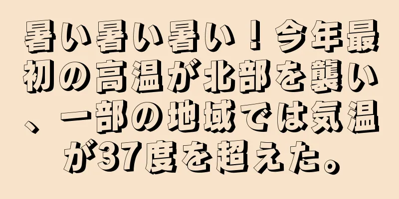 暑い暑い暑い！今年最初の高温が北部を襲い、一部の地域では気温が37度を超えた。