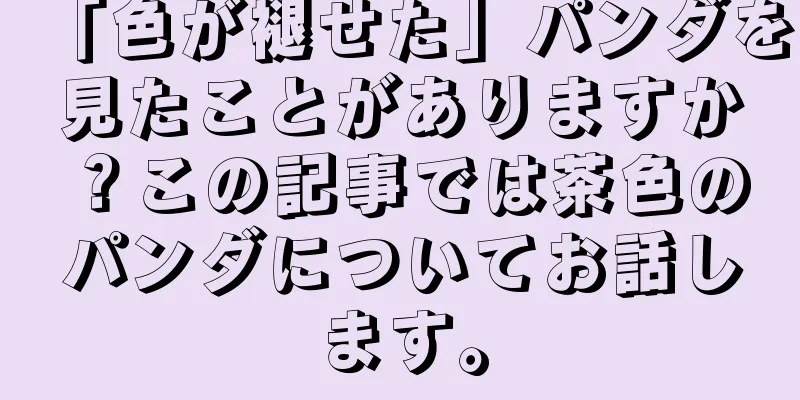 「色が褪せた」パンダを見たことがありますか？この記事では茶色のパンダについてお話します。