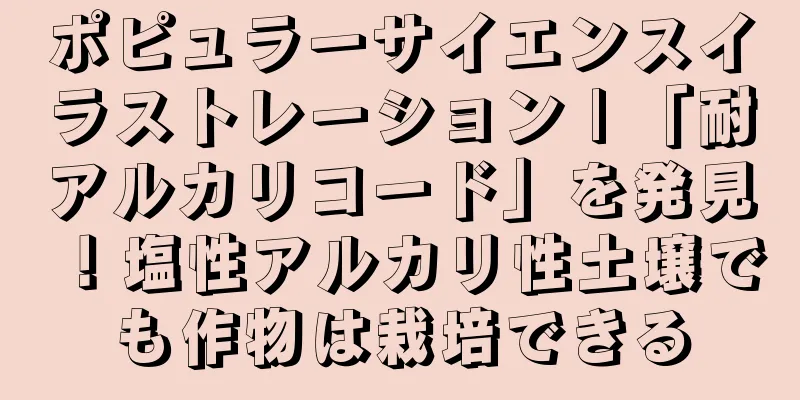 ポピュラーサイエンスイラストレーション | 「耐アルカリコード」を発見！塩性アルカリ性土壌でも作物は栽培できる