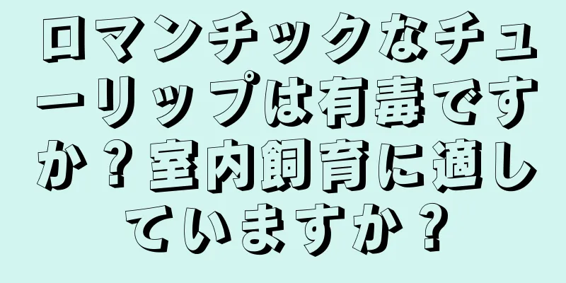 ロマンチックなチューリップは有毒ですか？室内飼育に適していますか？