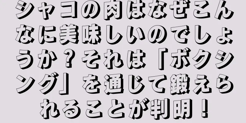 シャコの肉はなぜこんなに美味しいのでしょうか？それは「ボクシング」を通じて鍛えられることが判明！