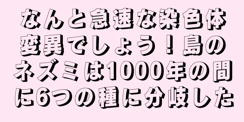 なんと急速な染色体変異でしょう！島のネズミは1000年の間に6つの種に分岐した