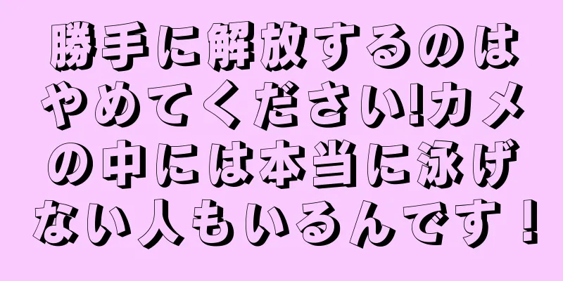 勝手に解放するのはやめてください!カメの中には本当に泳げない人もいるんです！