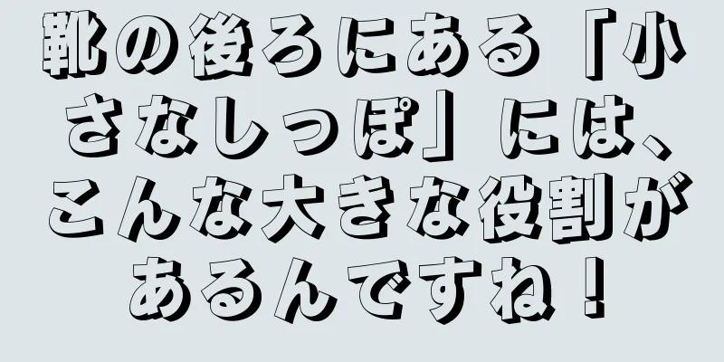 靴の後ろにある「小さなしっぽ」には、こんな大きな役割があるんですね！