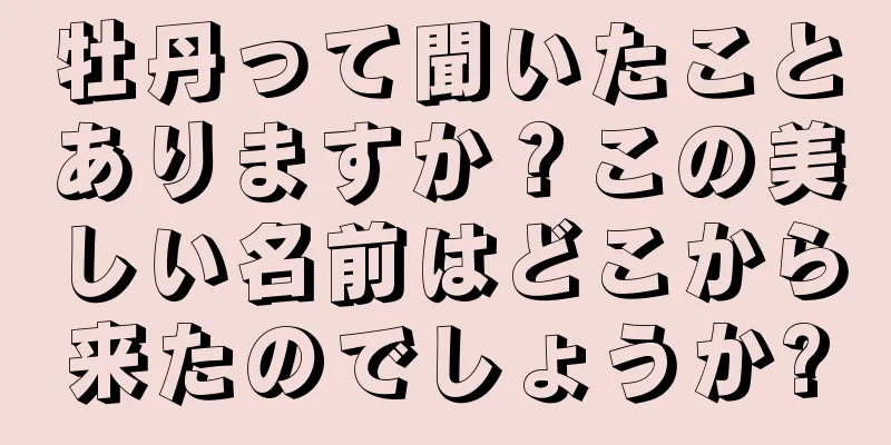牡丹って聞いたことありますか？この美しい名前はどこから来たのでしょうか?