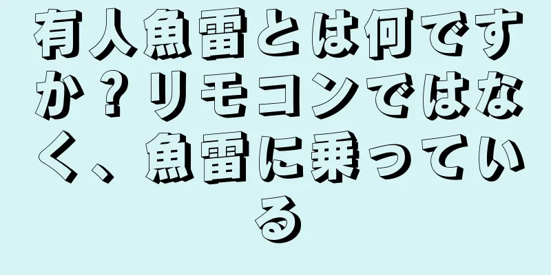 有人魚雷とは何ですか？リモコンではなく、魚雷に乗っている
