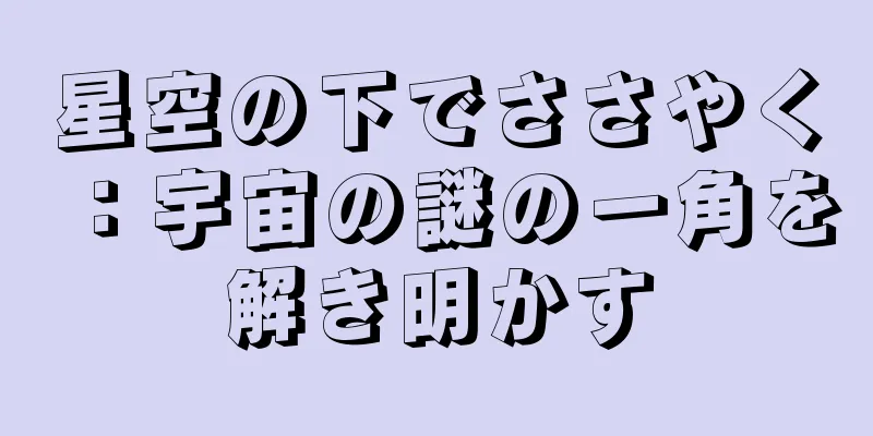 星空の下でささやく：宇宙の謎の一角を解き明かす