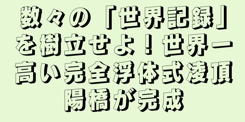 数々の「世界記録」を樹立せよ！世界一高い完全浮体式凌頂陽橋が完成