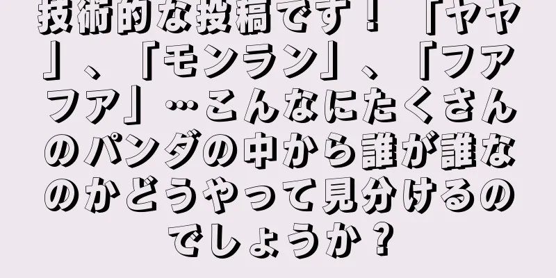 技術的な投稿です！ 「ヤヤ」、「モンラン」、「フアフア」…こんなにたくさんのパンダの中から誰が誰なのかどうやって見分けるのでしょうか？