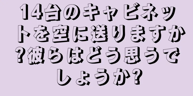 14台のキャビネットを空に送りますか?彼らはどう思うでしょうか?