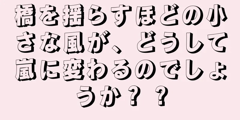 橋を揺らすほどの小さな風が、どうして嵐に変わるのでしょうか？ ?