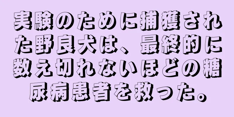 実験のために捕獲された野良犬は、最終的に数え切れないほどの糖尿病患者を救った。