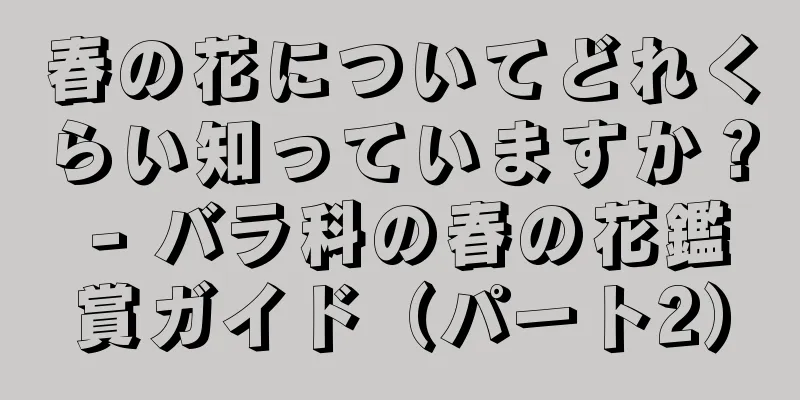 春の花についてどれくらい知っていますか？ - バラ科の春の花鑑賞ガイド（パート2）