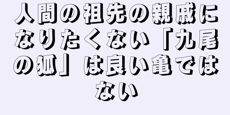 人間の祖先の親戚になりたくない「九尾の狐」は良い亀ではない