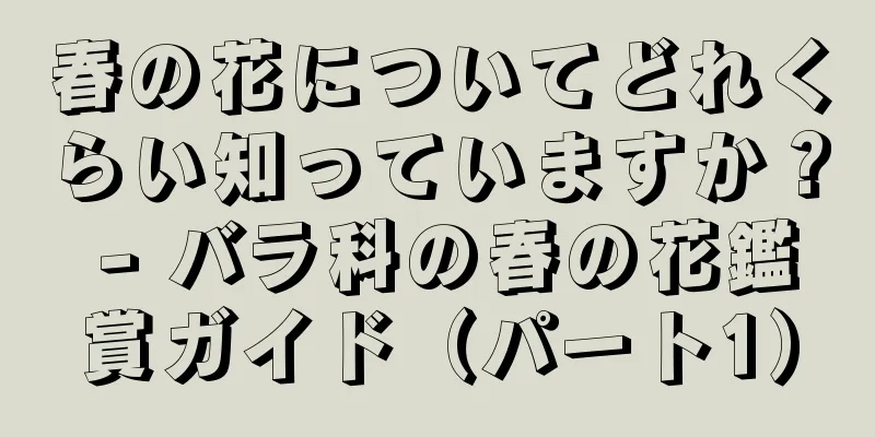 春の花についてどれくらい知っていますか？ - バラ科の春の花鑑賞ガイド（パート1）