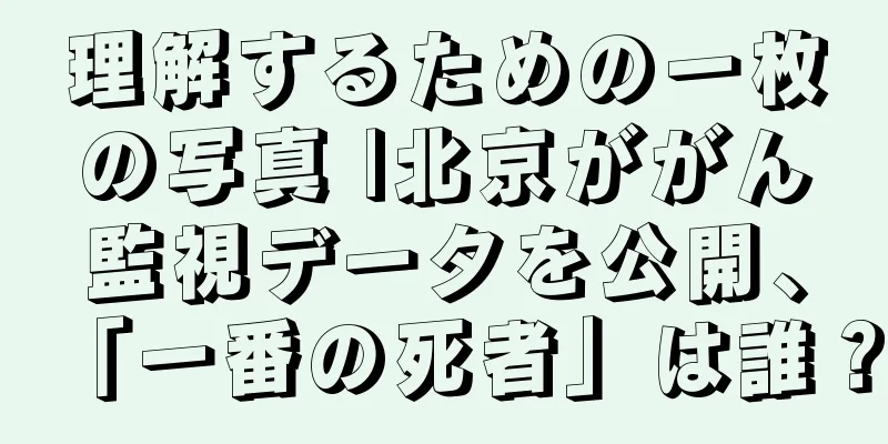 理解するための一枚の写真 |北京ががん監視データを公開、「一番の死者」は誰？