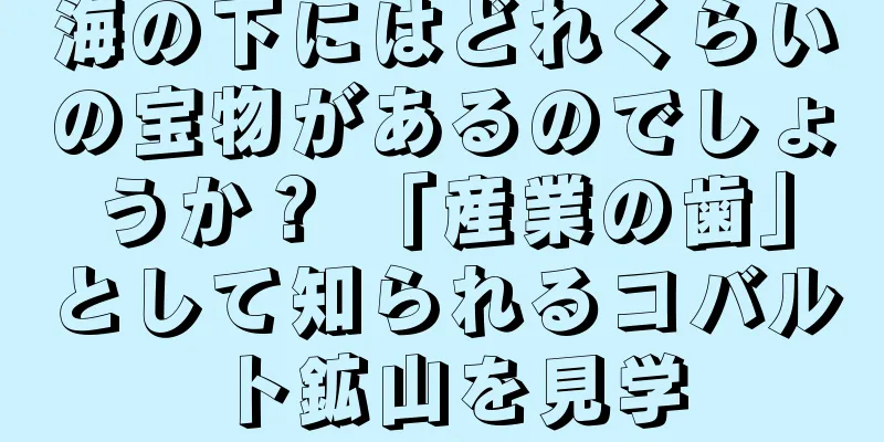 海の下にはどれくらいの宝物があるのでしょうか？ 「産業の歯」として知られるコバルト鉱山を見学