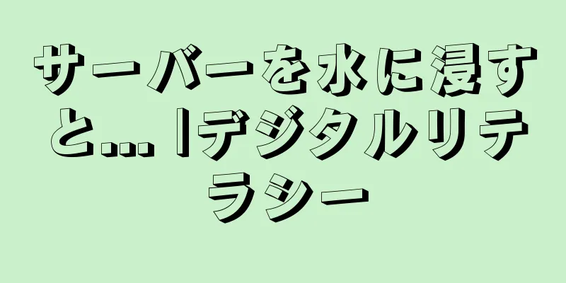 サーバーを水に浸すと... |デジタルリテラシー