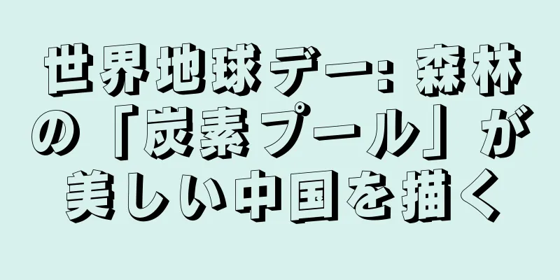 世界地球デー: 森林の「炭素プール」が美しい中国を描く