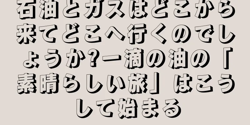 石油とガスはどこから来てどこへ行くのでしょうか?一滴の油の「素晴らしい旅」はこうして始まる