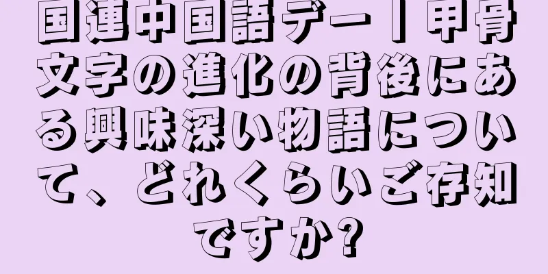 国連中国語デー丨甲骨文字の進化の背後にある興味深い物語について、どれくらいご存知ですか?