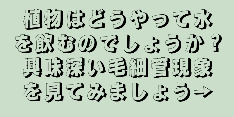植物はどうやって水を飲むのでしょうか？興味深い毛細管現象を見てみましょう→
