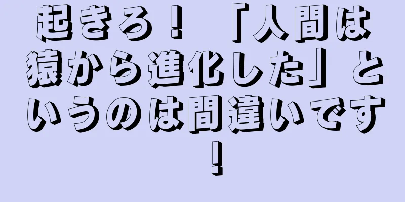 起きろ！ 「人間は猿から進化した」というのは間違いです！
