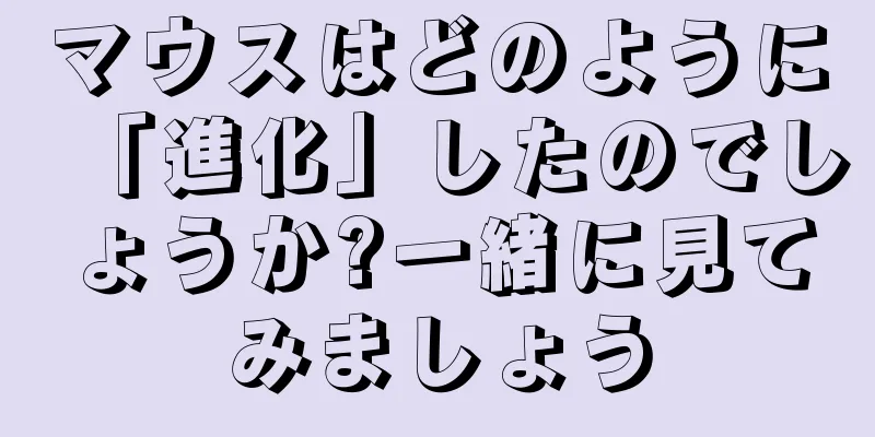 マウスはどのように「進化」したのでしょうか?一緒に見てみましょう