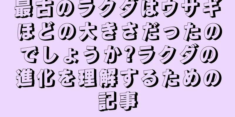 最古のラクダはウサギほどの大きさだったのでしょうか?ラクダの進化を理解するための記事