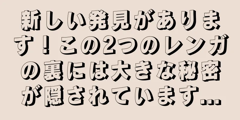 新しい発見があります！この2つのレンガの裏には大きな秘密が隠されています...