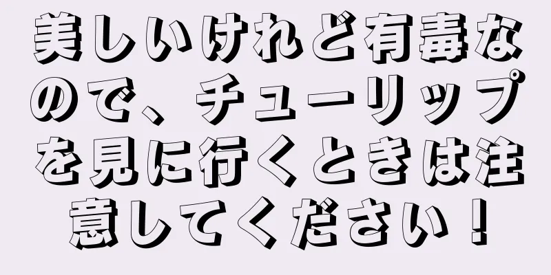 美しいけれど有毒なので、チューリップを見に行くときは注意してください！