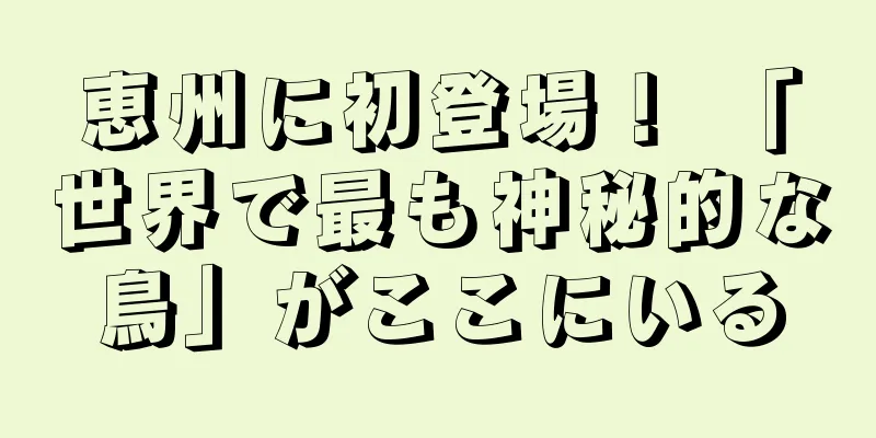 恵州に初登場！ 「世界で最も神秘的な鳥」がここにいる