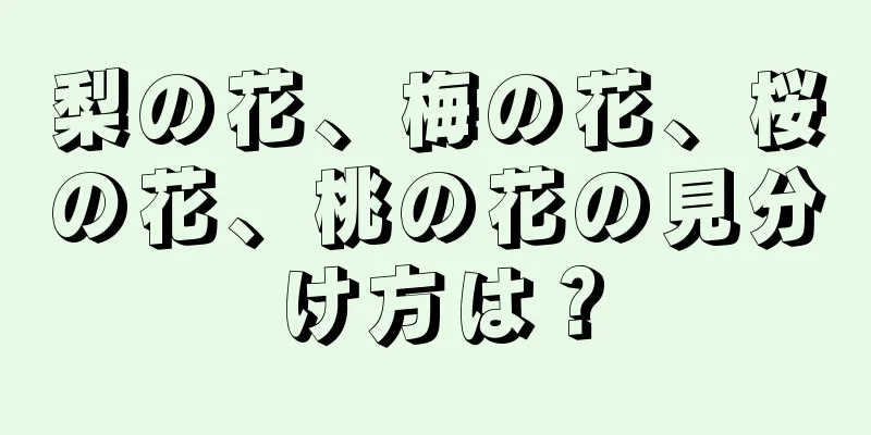 梨の花、梅の花、桜の花、桃の花の見分け方は？
