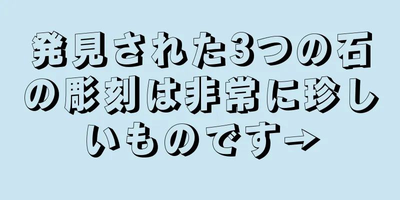 発見された3つの石の彫刻は非常に珍しいものです→