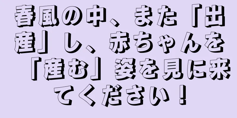 春風の中、また「出産」し、赤ちゃんを「産む」姿を見に来てください！