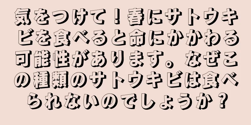 気をつけて！春にサトウキビを食べると命にかかわる可能性があります。なぜこの種類のサトウキビは食べられないのでしょうか？