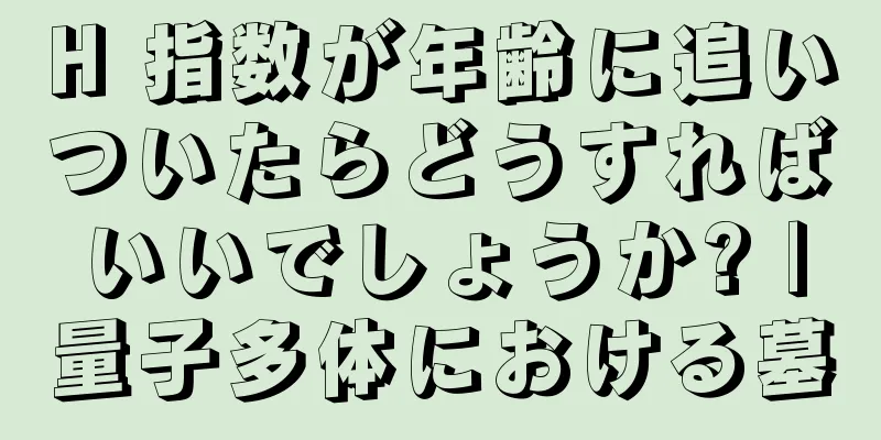 H 指数が年齢に追いついたらどうすればいいでしょうか? |量子多体における墓