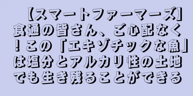 【スマートファーマーズ】食通の皆さん、ご心配なく！この「エキゾチックな魚」は塩分とアルカリ性の土地でも生き残ることができる