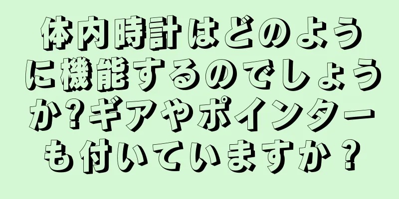 体内時計はどのように機能するのでしょうか?ギアやポインターも付いていますか？